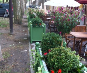 Jardinières fleuries d’une terrasse de restaurant à VERSAILLES